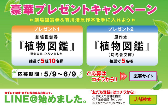 映画「植物図鑑」とカギQトリオのカギの110番・カギの救急車がタイアップ！劇場鑑賞券などがあたるキャンペーン実施中！／映画「植物図鑑」　公開：6月4日(土) 全国ロードショー, 監督：三木康一郎,原作：有川浩(「植物図鑑」幻冬舎文庫),出演：岩田剛典(EXILE／三代目 J Soul Brothers),高畑充希,阿部丈二,今井華,谷澤恵里香,相島一之,酒井敏也,木下隆行,ダンカン,大和田伸也,宮崎美子,脚本：渡辺千穂,音楽：羽毛田丈史,主題歌：「やさしさで溢れるように」Flower